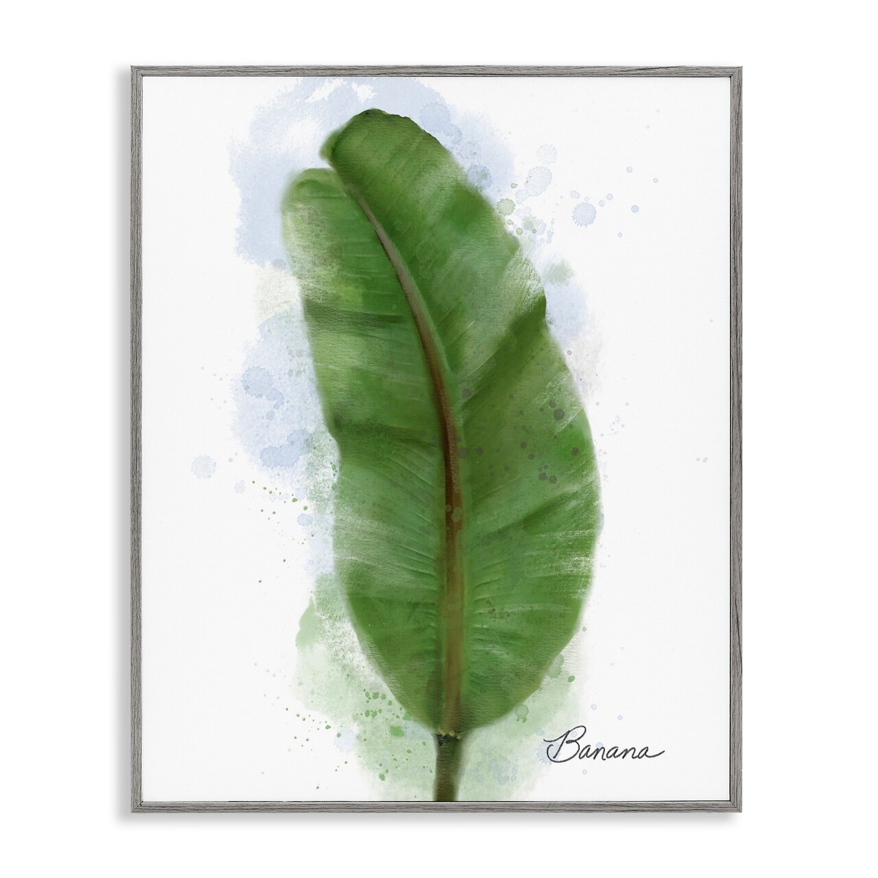 Stupell Industries Modern Banana Plant Leaf Framed Giclee By Matthew Piotrowicz